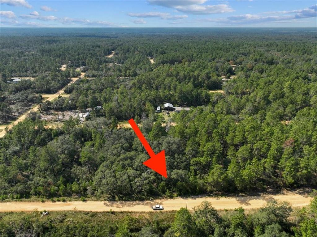 Photo of 211 Selma Avenue, Interlachen, FL 32148 (MLS # O6365312)