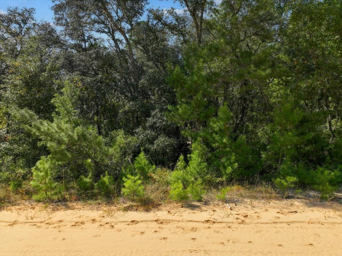 INTERLACHEN LAKES ESTATES - Land