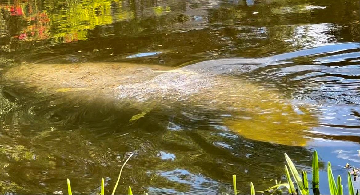 SOUTH GATE - Residential