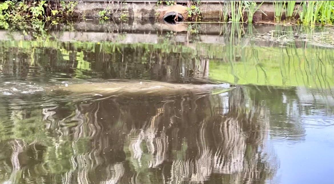 SOUTH GATE - Residential