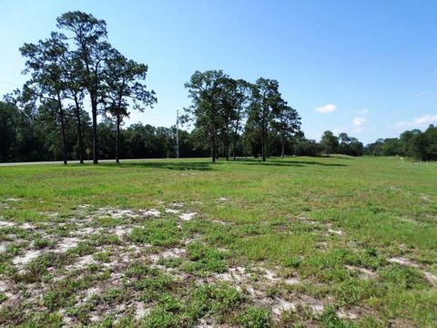 Tiny photo for 8518 SW 189th Court Rd, Dunnellon, FL 34432 (MLS # OM688678)