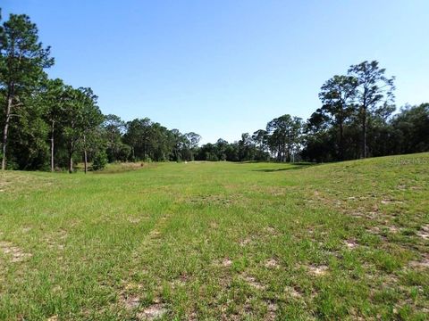 Tiny photo for 8518 SW 189th Court Rd, Dunnellon, FL 34432 (MLS # OM688678)