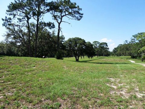 Tiny photo for 8518 SW 189th Court Rd, Dunnellon, FL 34432 (MLS # OM688678)