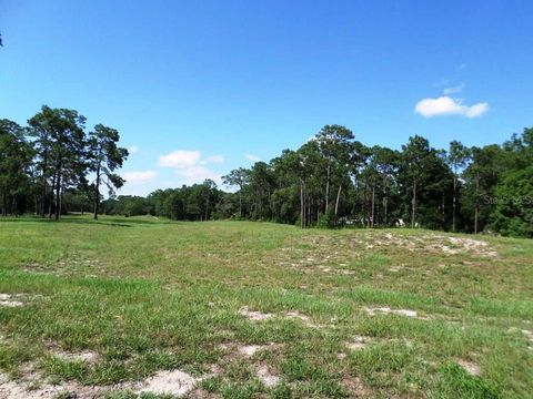 Tiny photo for 8518 SW 189th Court Rd, Dunnellon, FL 34432 (MLS # OM688678)
