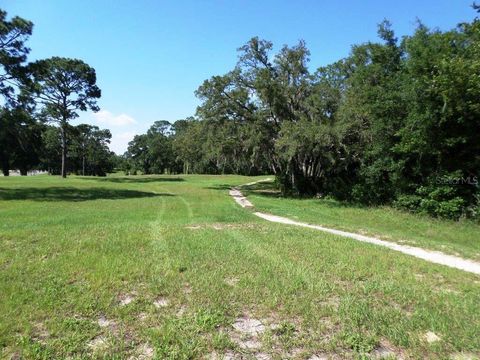 Tiny photo for 8518 SW 189th Court Rd, Dunnellon, FL 34432 (MLS # OM688678)
