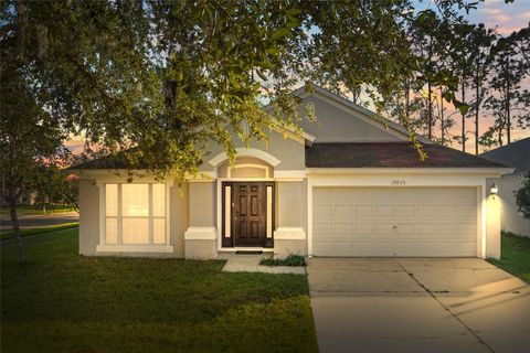 A home in LAND O LAKES