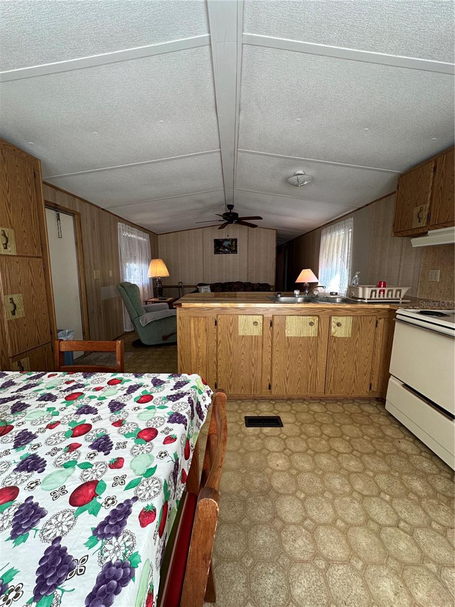 FRUITLAND PARK - Residential