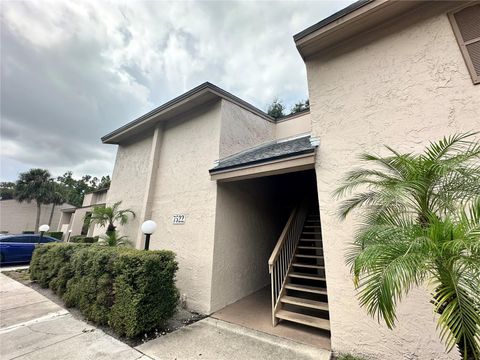 7522 NEEDLE LEAF PLACE 27 TAMPA FL 33617