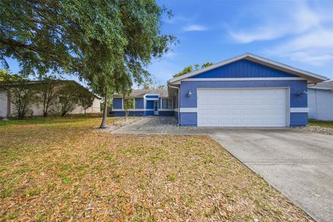 Photo of 7850 Royal Stewart Drive, New Port Richey, FL 34653 (MLS # TB8499335)