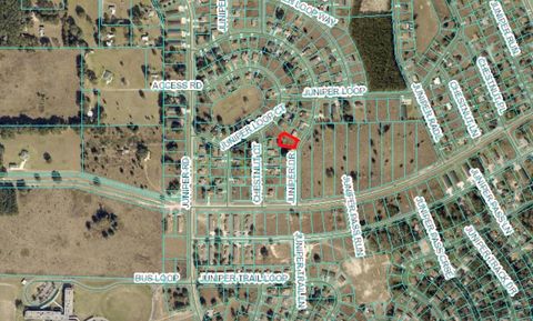 JUNIPER DRIVE OCALA FL 34480