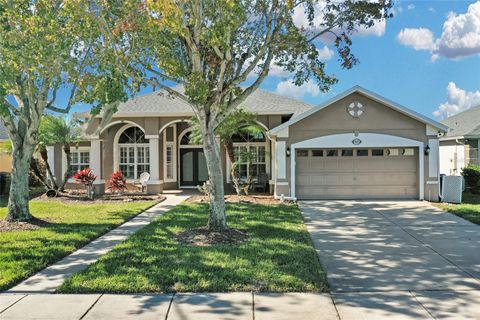 A home in KISSIMMEE