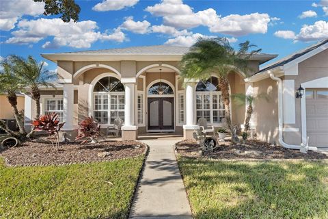 A home in KISSIMMEE