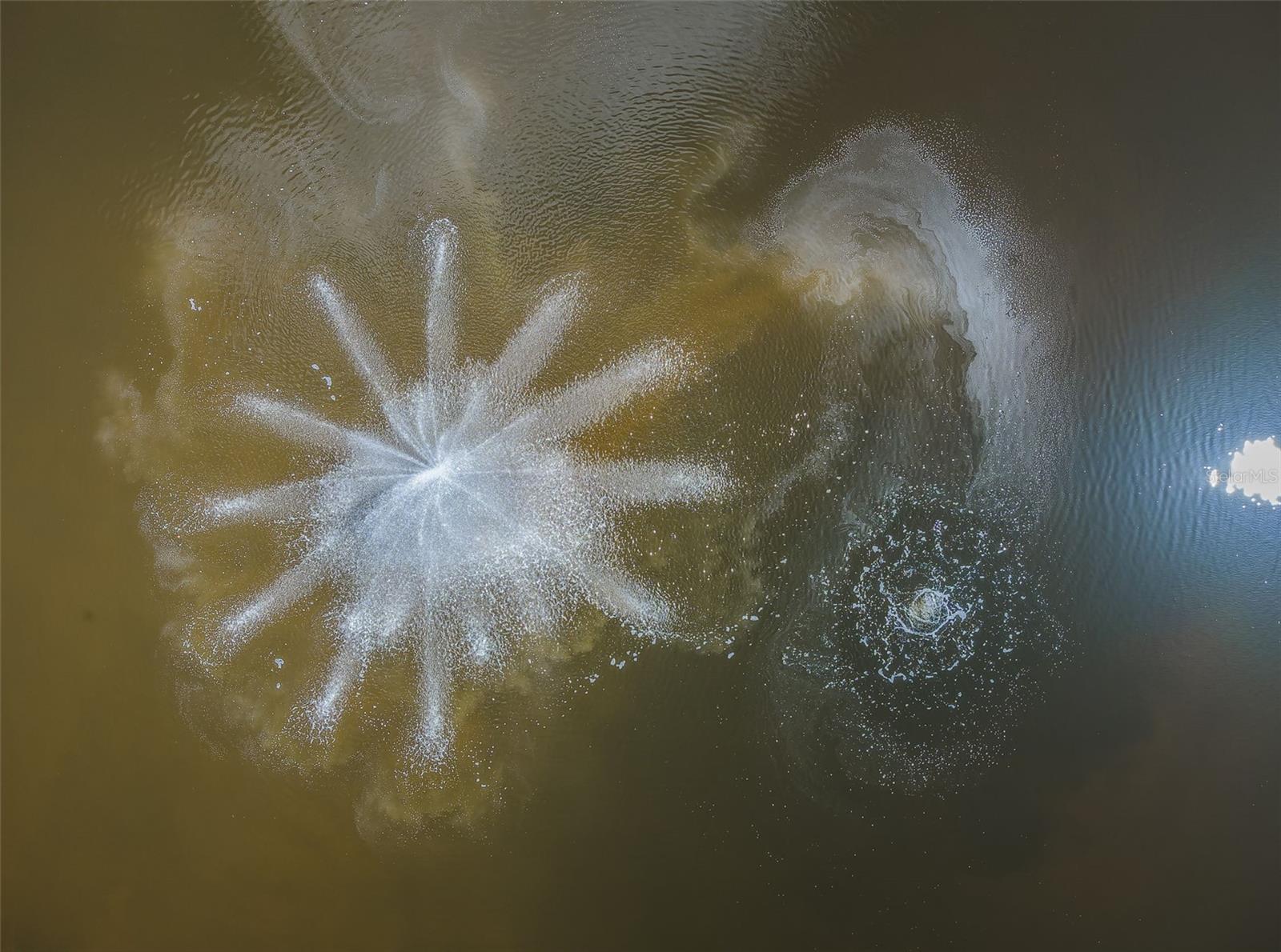 WATERSIDE AT COQUINA KEY SOUTH - Residential