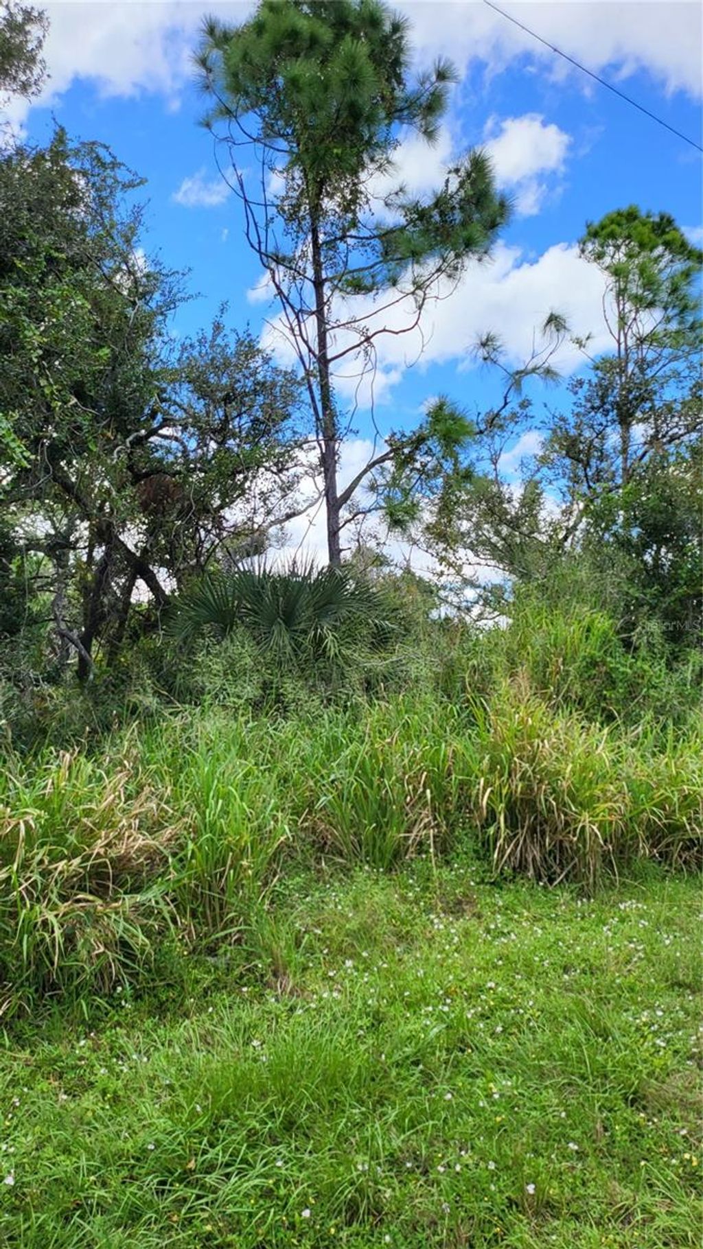 Photo of 25 Evaro Drive, Port Charlotte, FL 33954 (MLS # D6132866)