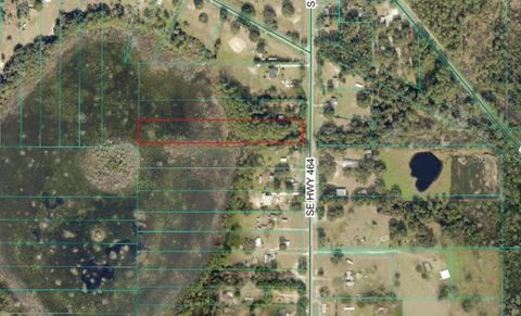 Photo of Tbd SE Hwy 464, Ocklawaha, FL 32179 (MLS # OM720382)