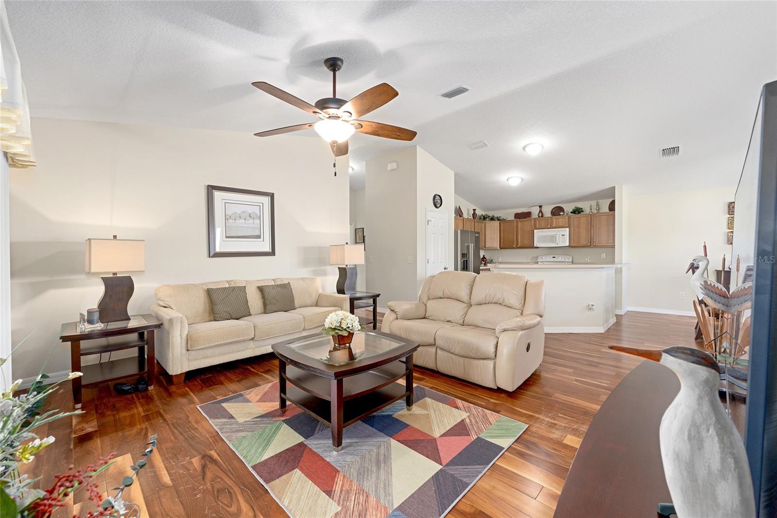 VILLAGES OF SUMTER - Residential