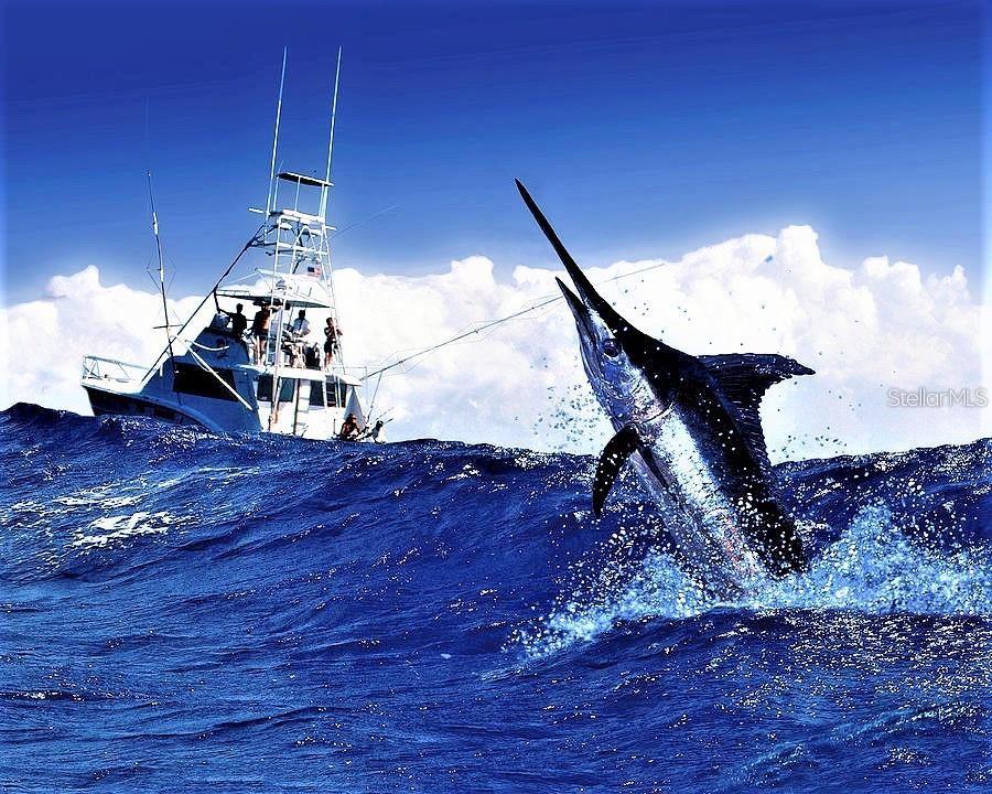 GANDY GARDENS 4 - Residential