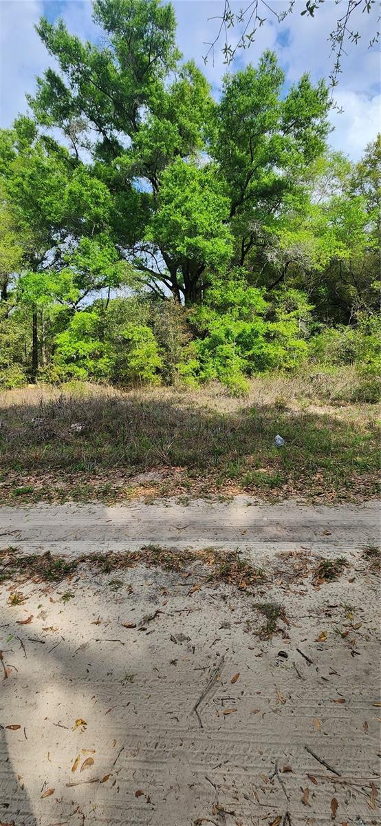 OCALA RDG UN 10 - Land