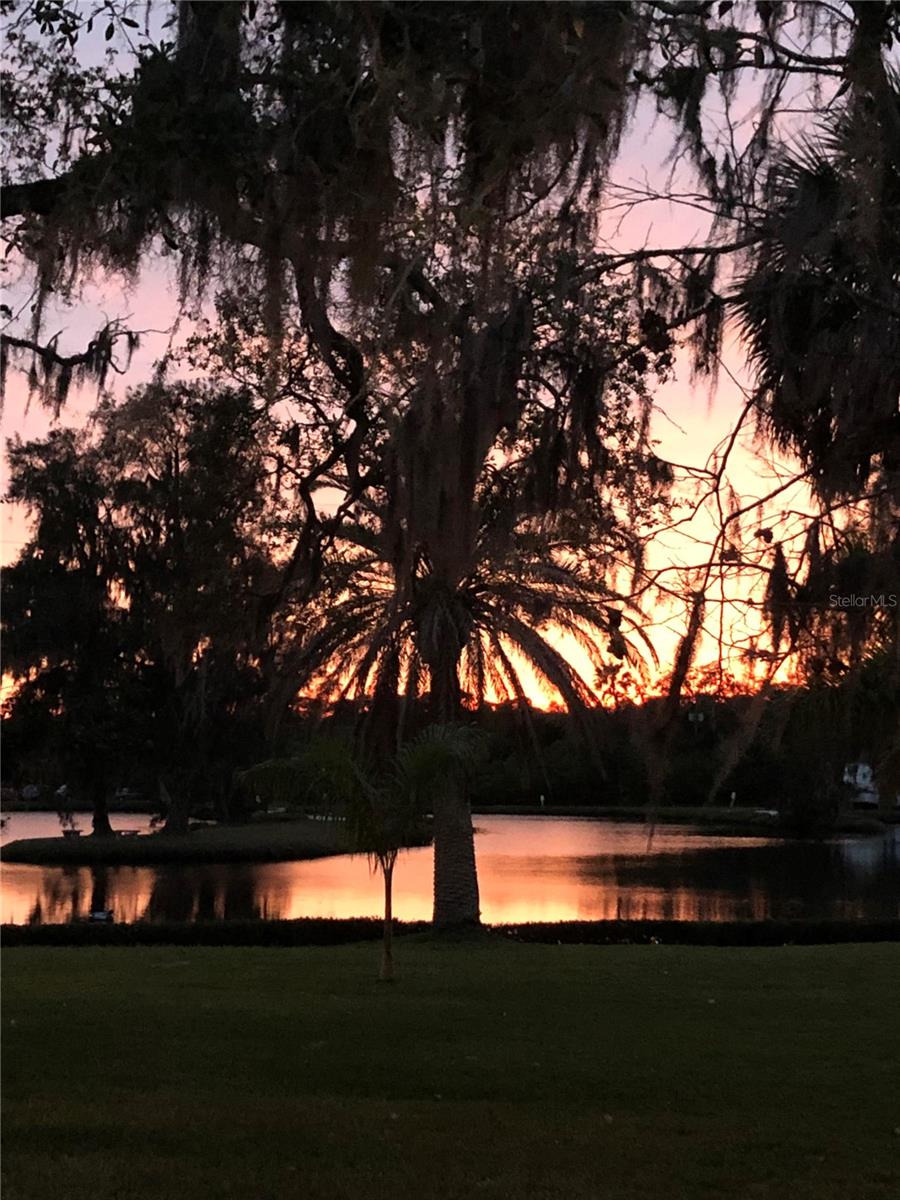 BRADEN CASTLE PARK - Residential