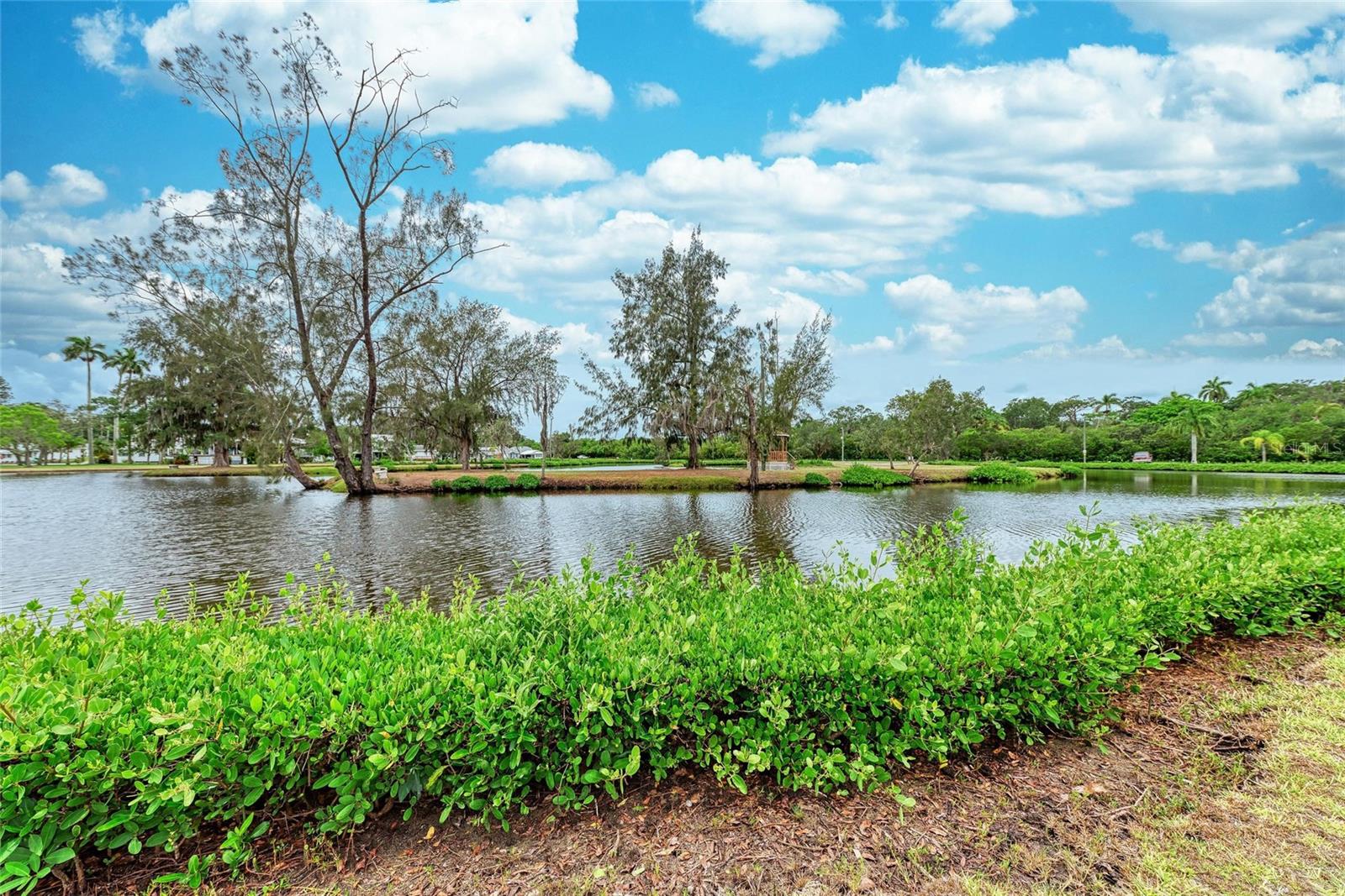 BRADEN CASTLE PARK - Residential