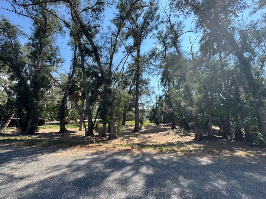 Prime vacant lot in the established Timber Woods subdivision! This cleared parcel offers excellent potential for development, with room for additional lots or a spacious custom build. Survey available, utilities nearby, and conveniently located on Oakwood Drive in New Port Richey. Great investment opportunity in a desirable Pasco County location!

Three additional lots available in the immediate vicinity for larger assembly or investment package potential. 

7107 Oakwood Dr. PIN 32-25-16-0500-00000-0110 
7103 Oakwood Dr. PIN 32-25-16-0500-00000-0120, 
7045 Oakwood Dr. PIN 32-25-16-0500-00000-0130,

See attached plat survey for full boundary details, monuments, easements, and curve data. Flood Zone AE. Also Plat of Subdivision attached. Double check measurements.