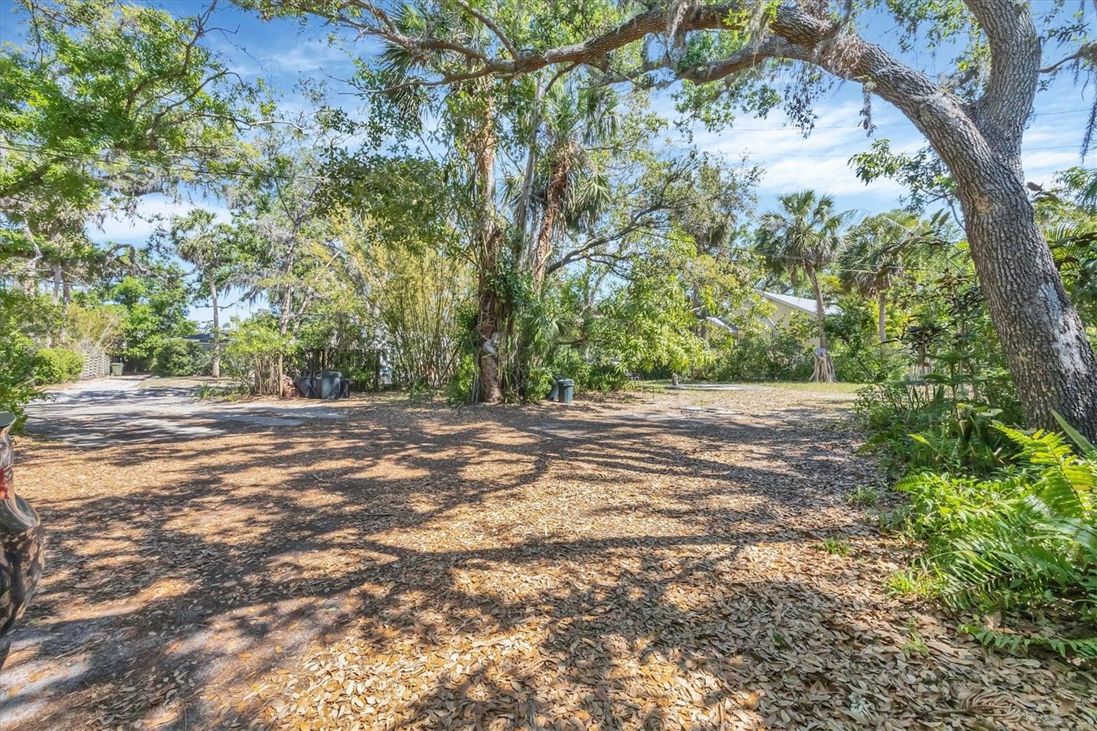 MCCLELLAN PARK - Residential