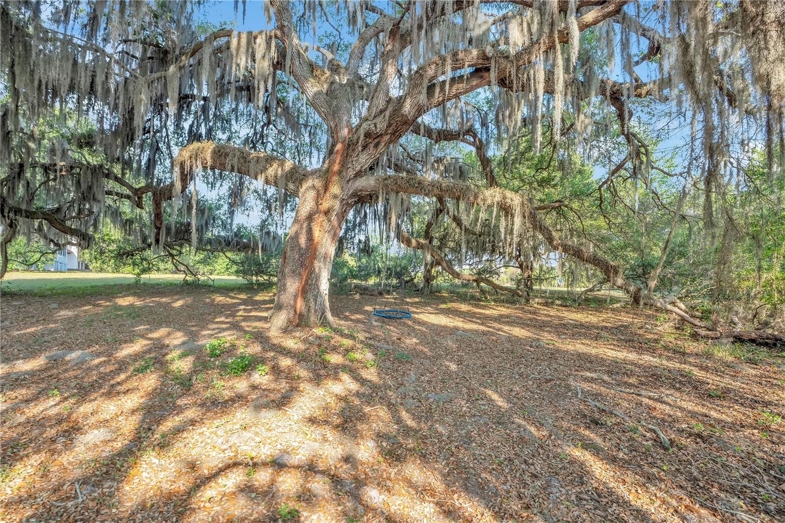 RANDOLPH LAND ALLOTMENT FORT G - Residential