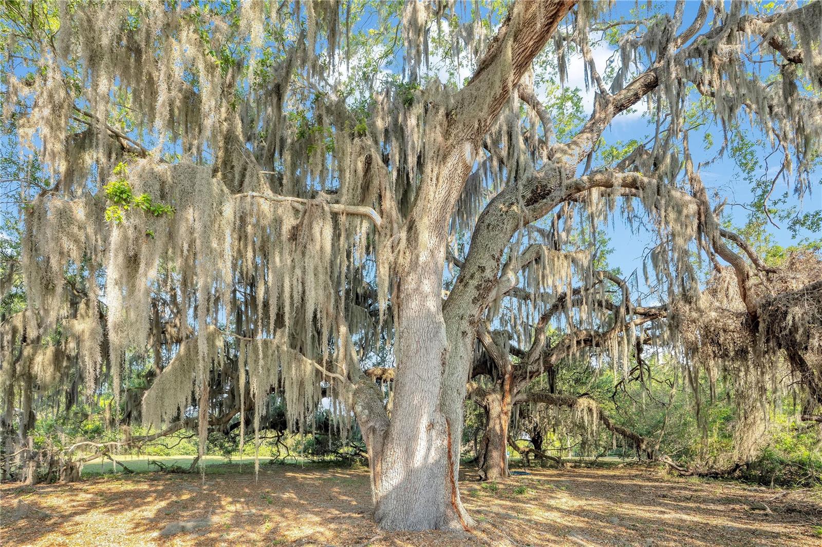 RANDOLPH LAND ALLOTMENT FORT G - Residential
