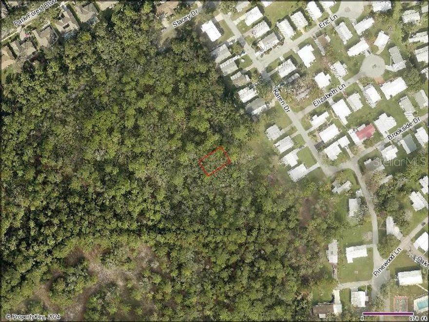 ANOTHER PRICE REDUCTION! Beautiful, wooded lot of unimproved land located near US 441 and charming downtown Mount Dora. It is zoned mobile home residential.  Don't miss out on this opportunity for peace and quiet, but close to all the conveniences!  Buyer and/or buyer's agent to verify all information regarding this property.