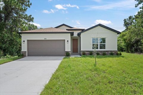 A home in PALM BAY