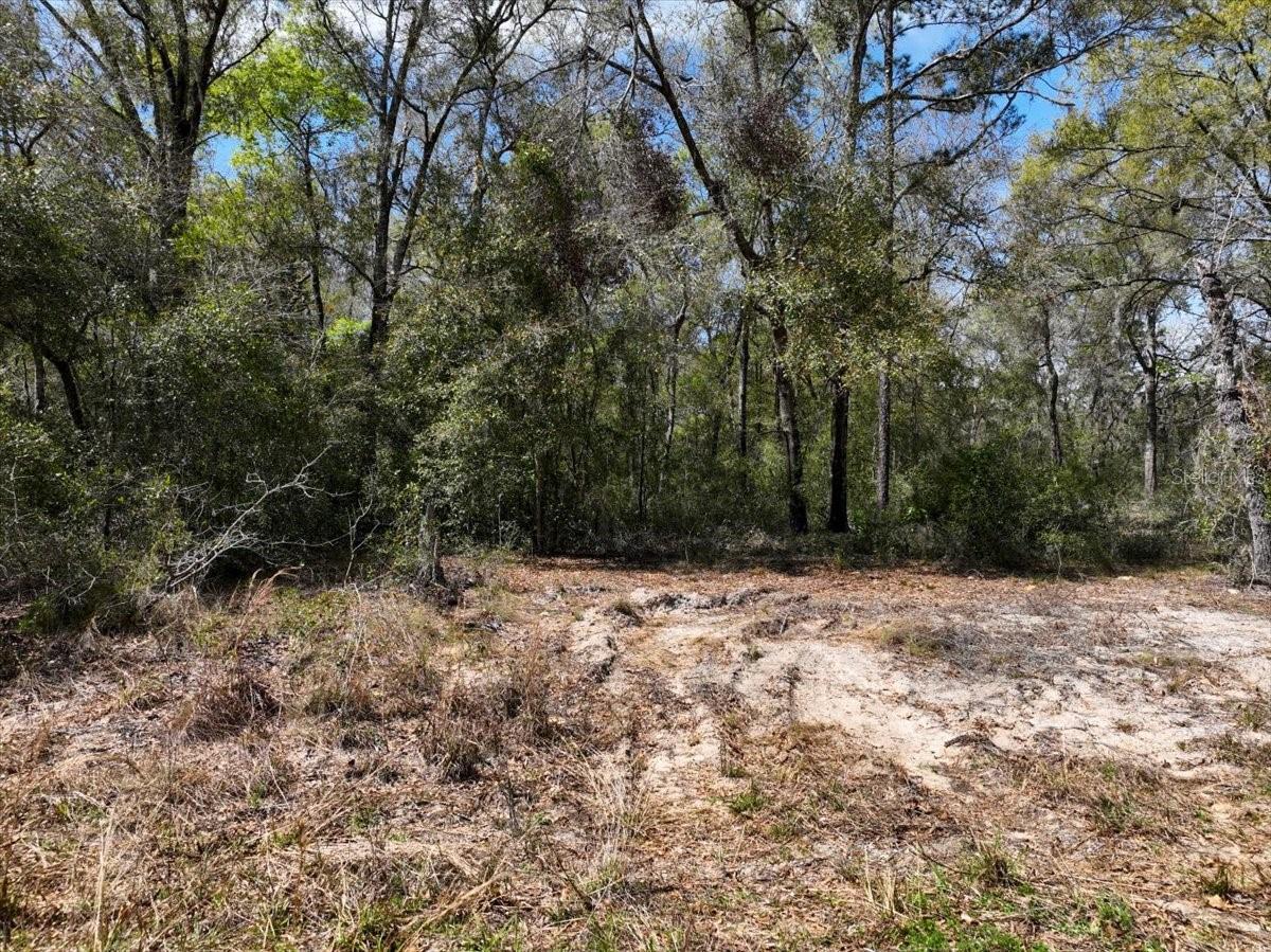 WILLISTON HIGHLANDS GOLF & COUNTRY CLUB ESTATES - Land