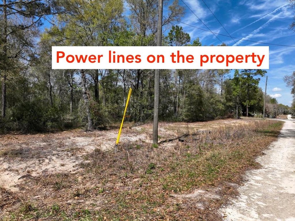 Photo of NE 154 Terrace, Williston, FL 32696 (MLS # O6367696)