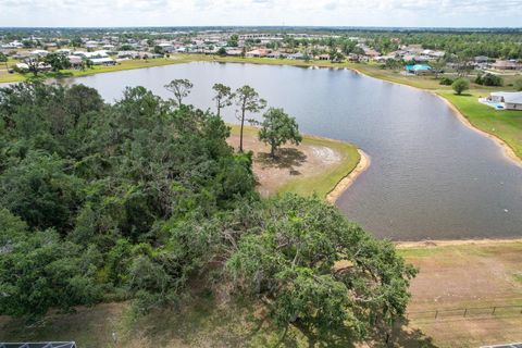 A home in PUNTA GORDA