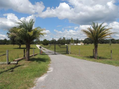 Photo of 9871 NE 60th Street, Bronson, FL 32621 (MLS # OM709536)