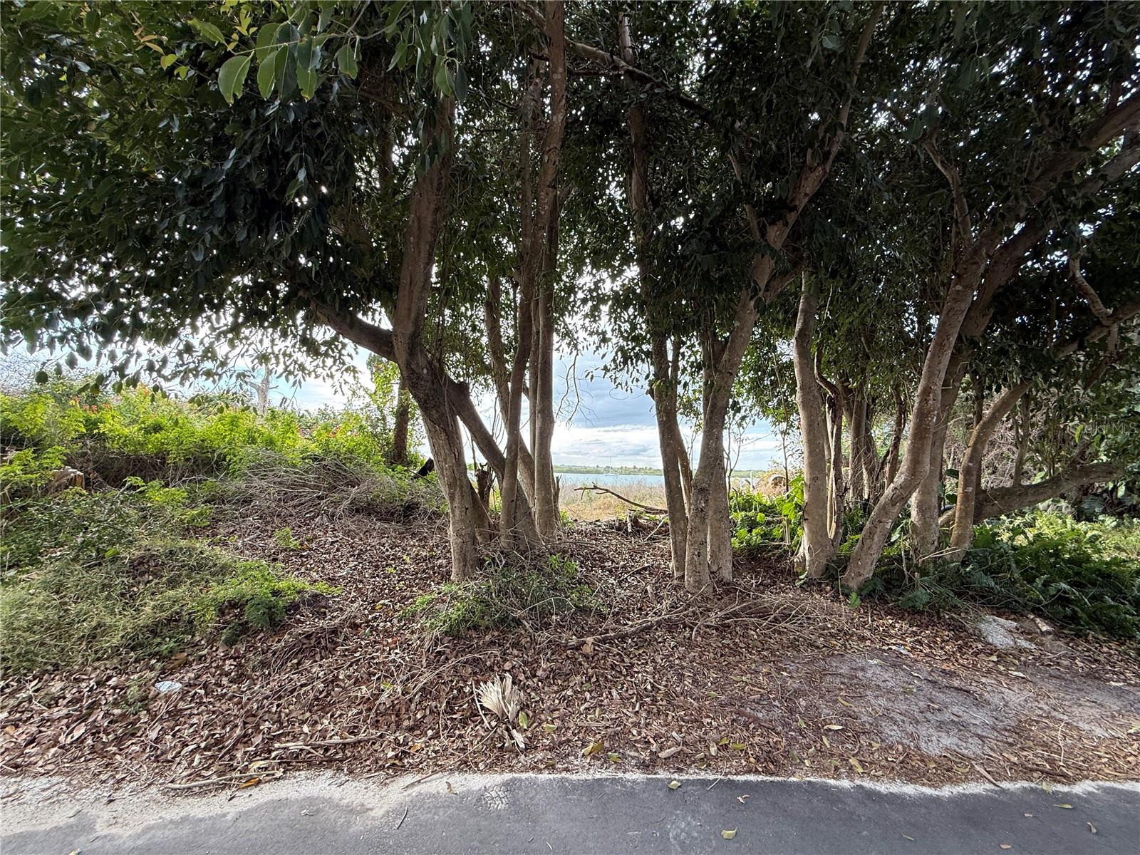 ORLANDO BEACH - Land