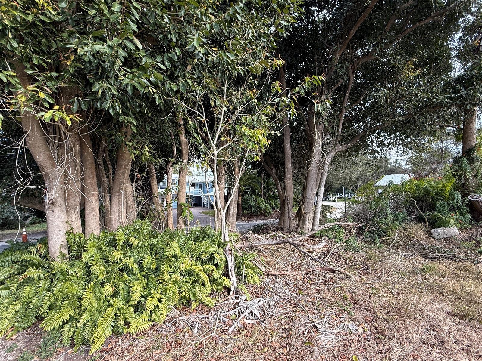 ORLANDO BEACH - Land