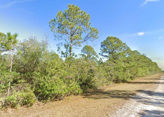 CALENDULA DRIVE, INDIAN LAKE ESTATES, FL 33855 - Image 6d69cab509f91977271ca220c24a0694/2425631008