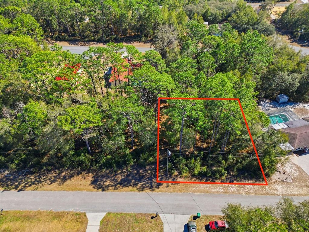 Photo of 2780 W Elgin Place, Citrus Springs, FL 34434 (MLS # TB8473892)