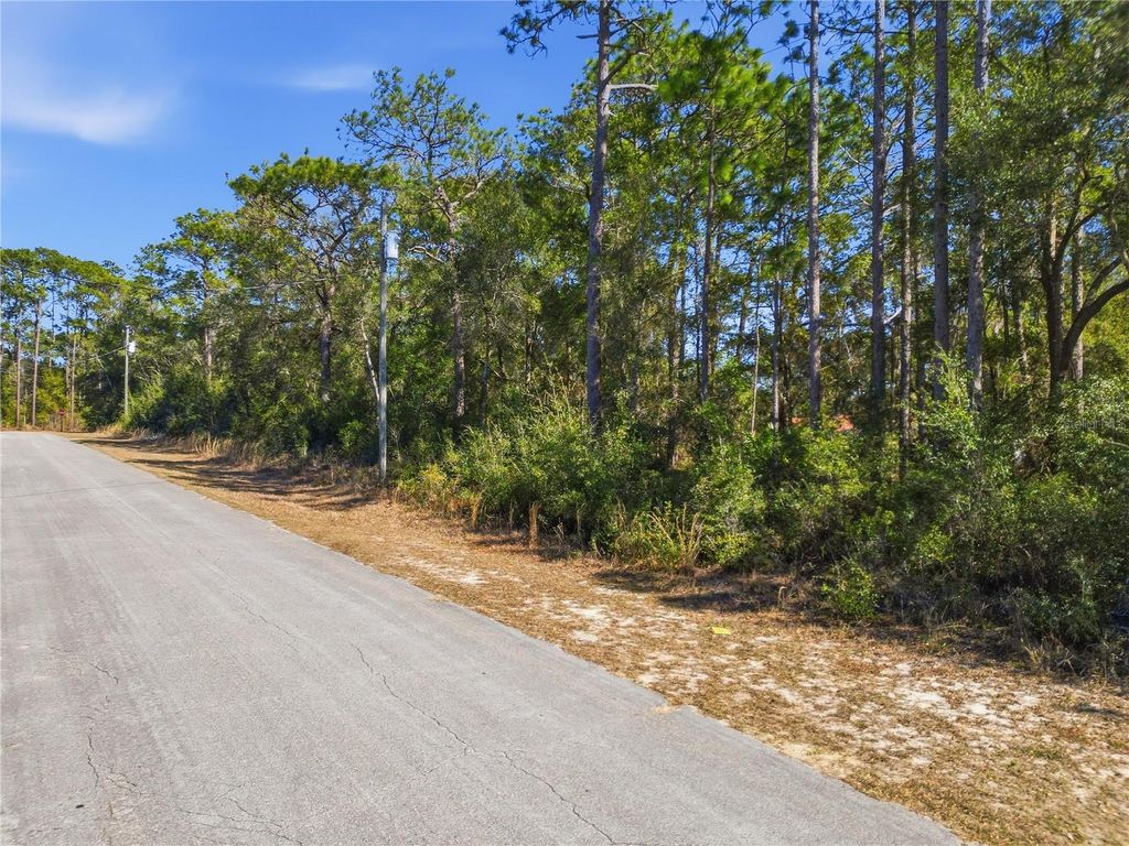 Photo of 2780 W Elgin Place, Citrus Springs, FL 34434 (MLS # TB8473892)