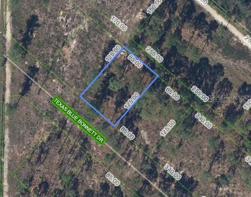 Breathe easy on your own 0.24-acre slice of sunshine, tucked away in one of Sebring’s peaceful yet growing neighborhoods. This landlocked, off-grid lot offers a rare blend of tranquility and possibility, with electricity nearby and no HOA—perfect for a custom home, ADU, or manufactured retreat. Wake up to birdsong, enjoy the breeze through tall trees, and take advantage of world-class recreation just minutes away—from lakeside fishing and airboat adventures to yoga, farmers markets, and small-town dining. Golf enthusiasts are close to Highlands Ridge Golf Course, motorsport fans are only 5 minutes from Sebring International Raceway, and frequent travelers are just 6 minutes from Sebring Airport. With easy access to major roads, top healthcare, and natural gems like Highlands Hammock State Park and Bok Tower Gardens, the location feels both refreshingly private and remarkably connected. Ideal for recreational buyers—hunters, hikers, campers—timber or agricultural use, investors seeking long-term appreciation, or those willing to create custom access solutions via footpaths, ATV, or off-road trails. Whether you’re chasing a laid-back lifestyle or planning for the future, this is where your next chapter begins.