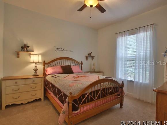 Napier & Hull Grants - Residential