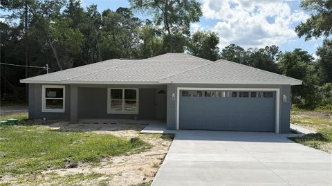 Photo of 6 Bay Pass Terrace, Ocklawaha, FL 32179 (MLS # OM720485)