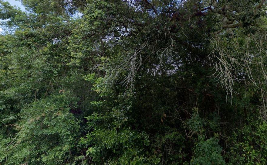 Great Opportunity – Spacious .55-acre double (3288 and 3302) lot in a no flood zone – perfect to build your dream home now or invest for the future! Zoned Medium Density Residential (MDR), allowing for apartments, multi-family dwellings, and supporting uses. Ideal for a variety of residential projects within the designated density range ; please confirm with the zoning department before building). Located in a rapidly growing, up-and-coming area – don’t miss out!