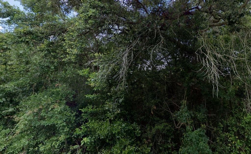 Photo of 3288 E Alisa Lane, Inverness, FL 34453 (MLS # O6366386)