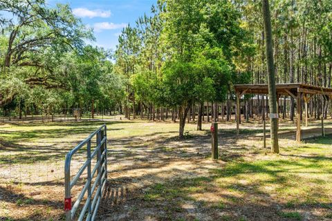 Tiny photo for 7845 N Flame Vine Way, Crystal River, FL 34428 (MLS # W7885248)