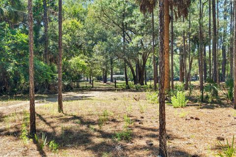 Tiny photo for 7845 N Flame Vine Way, Crystal River, FL 34428 (MLS # W7885248)