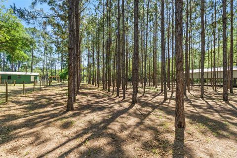 Tiny photo for 7845 N Flame Vine Way, Crystal River, FL 34428 (MLS # W7885248)