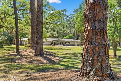 Tiny photo for 7845 N Flame Vine Way, Crystal River, FL 34428 (MLS # W7885248)
