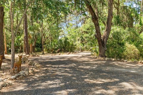 Tiny photo for 7845 N Flame Vine Way, Crystal River, FL 34428 (MLS # W7885248)