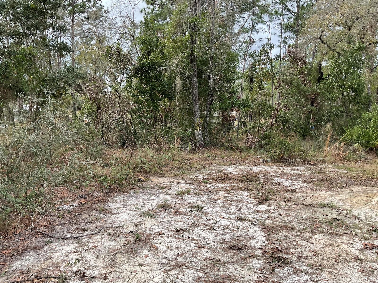 WILLISTON HIGHLANDS UNIT 12 - Residential